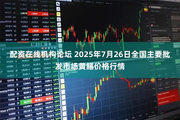 配资在线机构论坛 2025年7月26日全国主要批发市场黄鳝价格行情